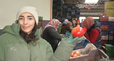 Korkuteli'den nar ihracatı başladı