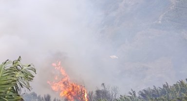 Muz bahçeleri ve makilik alan yandı