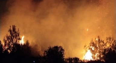 Antalya'da orman yangını