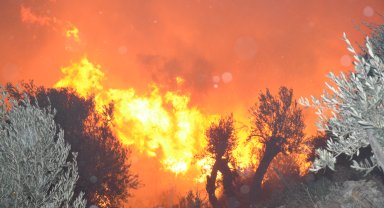 Antalya'da orman yangını