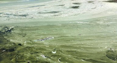 Eğirdir Gölü'nde 'bulanık yapı' riski