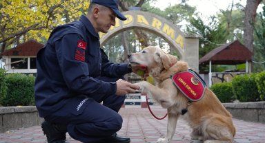 JAK köpeği 'Ocak', 8 yılda 48 can kurtardı