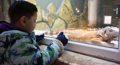 Soğuk günlerde sıcak önlemler