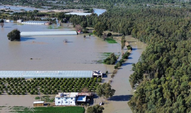 Antalya'da kuvvetli yağış 7 ilçede hasara neden oldu, mahsur kalan hayvanlar kurtarıldı