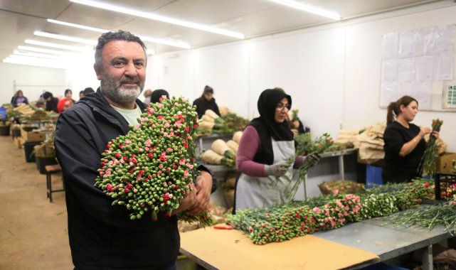 Antalya'dan 'Sevgililer Günü' için Avrupa'ya 75 milyon dal çiçek