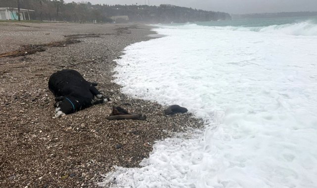 Antalya'yı sağanak vurdu; 7 ilçede okullar tatil edildi