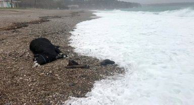 Antalya'yı sağanak vurdu; 7 ilçede okullar tatil edildi