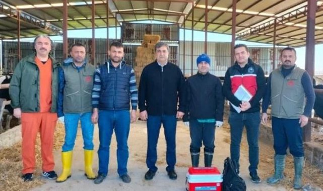 Büyükbaş hayvanlara şap aşılaması