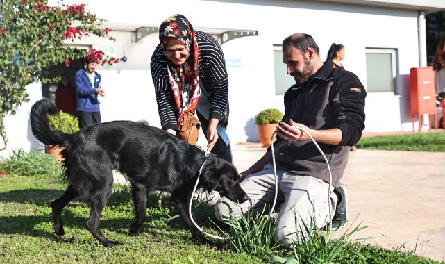 Can dostlar yeni yuvalara sahiplendiriliyor