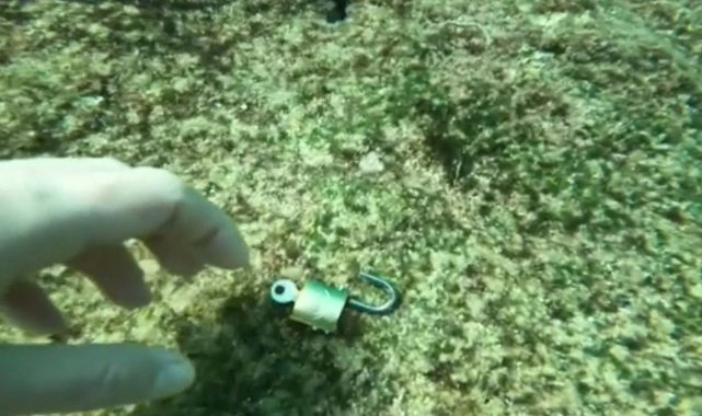 Denizden 'büyü malzemesi' çıkarıyor