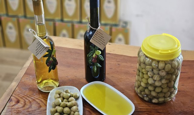 Dr. Kahraman: Tavşan yüreği zeytinyağı, kemoterapi kadar etkili