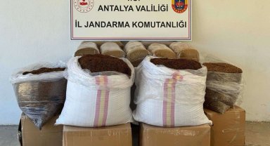 Gazipaşa'da kaçak tütün operasyonu