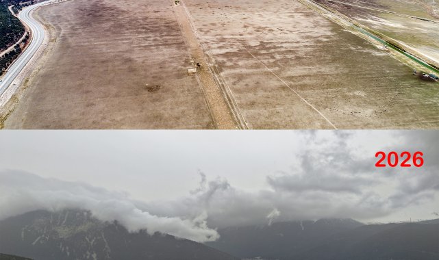 Hayvanların otladığı Avlan Gölü'nde su sevinci