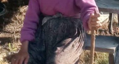 Hayvanlarını otlatmaya gidip kayboldu