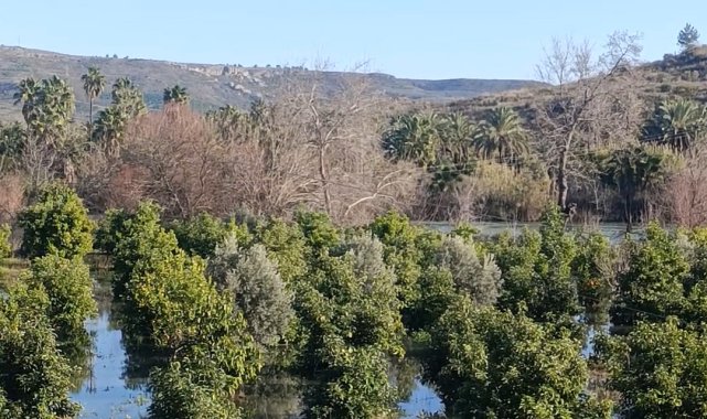 Irmak taştı, şantiye ile narenciye bahçelerini su bastı