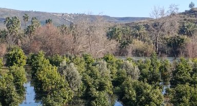 Irmak taştı, şantiye ile narenciye bahçelerini su bastı
