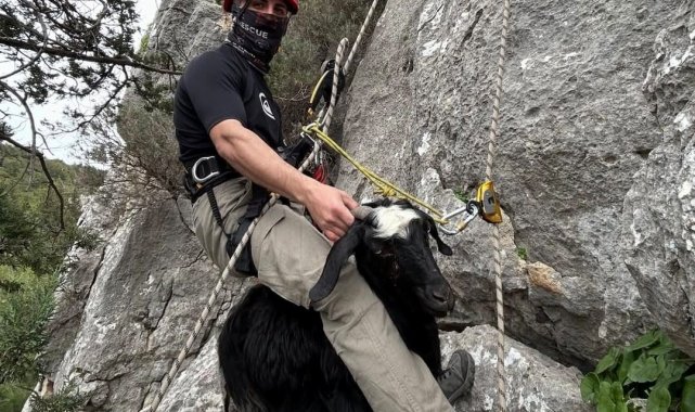 Kayalıkta mahsur kalan keçi ve kuzusunu itfaiye kurtardı