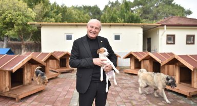 Kepez'de sokak hayvanlarına sıcacık yuvalar