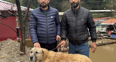 Paşa'yı canı pahasına korudu, akıntıya kapılmaktan son anda kurtardı