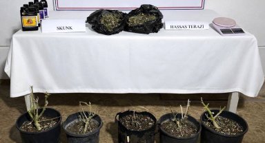 Aksu'da serada uyuşturucu üretimine operasyon
