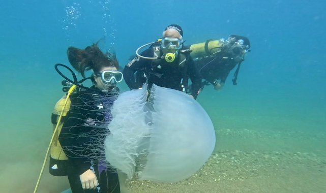 Antalya Körfezi'nde poyraz etkili oldu, denizanaları kıyıya sürüklendi