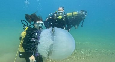 Antalya Körfezi'nde poyraz etkili oldu, denizanaları kıyıya sürüklendi