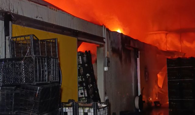 Antalya'da muz paketleme ve sarartma tesisinde yangın