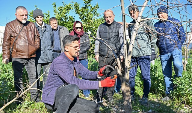 ATASEM'de uygulamalı ağaç budama eğitimi