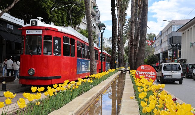 Baharın müjdecisi laleler Antalya sokaklarını renklendirdi