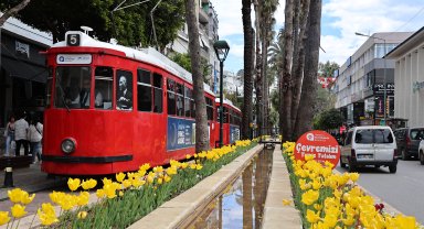 Baharın müjdecisi laleler Antalya sokaklarını renklendirdi