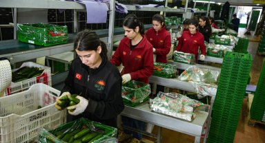 İran savaşı sonrası Türkiye'den Rusya'ya sebze ihracatı arttı