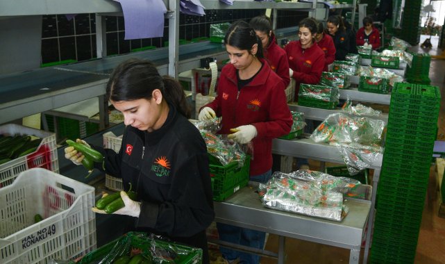 Türkiye'nin sebze tüketiminin yarısını karşılayan Antalya Hali'nden 64 ülkeye ihracat