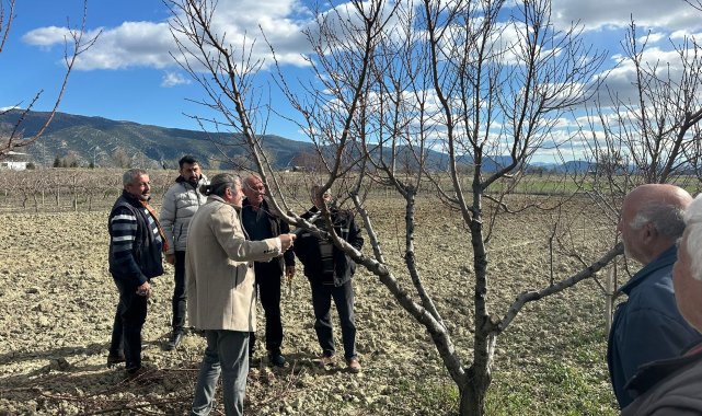 Üreticilere budama eğitimi