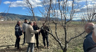 Üreticilere budama eğitimi