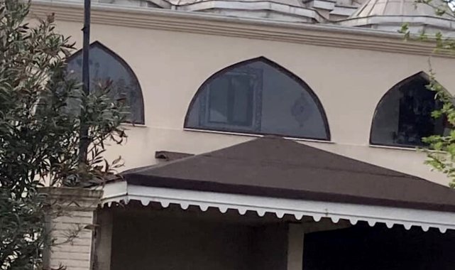 Yaban hayatı gözlemcisinden leyleğin bozulan yuvası için çağrı