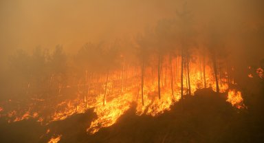 2025'te ihmal, dikkatsizlik, kasıt ve kazadan 1933 orman yangını çıktı