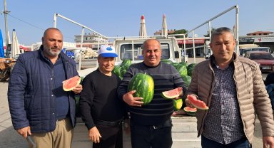 Antalya'da sezonun ilk erkenci karpuzu kilosu 40 liraya alıcı buldu