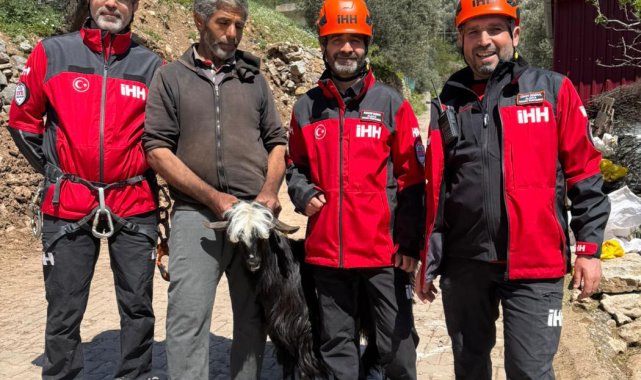 Kayalıkta mahsur kalan keçiler kurtarıldı