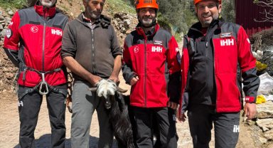Kayalıkta mahsur kalan keçiler kurtarıldı