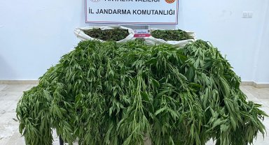 Serik'te uyuşturucu operasyonu: 1 tutuklu