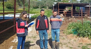 Yetiştiriciler buzağı ölümlerine karşı bilgilendirildi