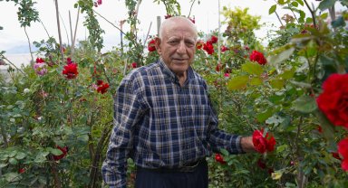 Hıdırellez öncesi gül satışı arttı