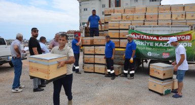 Büyükşehir'den Antalya'nın dört bir yanına arı kovanı desteği
