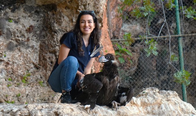 Doğaya dönemeyen yırtıcıların yavruları için yeni proje