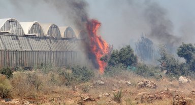 Seralar ve evleri tehdit eden ot yangını söndürüldü