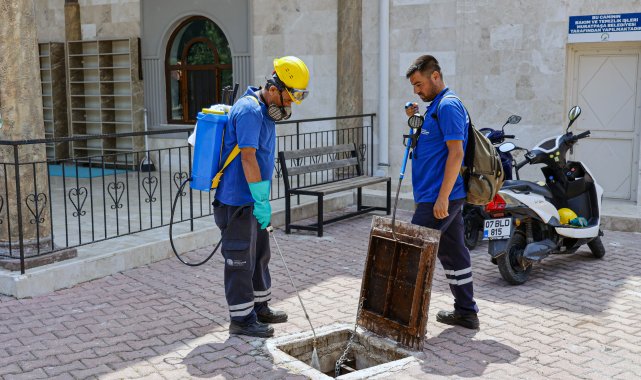 Vektörle mücadele aralıksız sürüyor