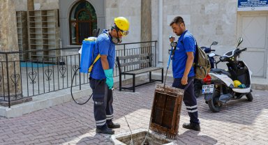 Vektörle mücadele aralıksız sürüyor