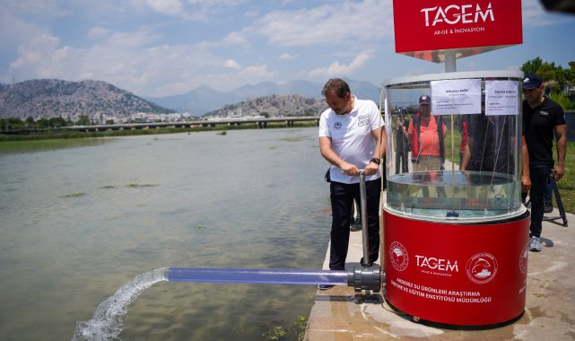 Yok olmanın eşiğinden dönen 2 endemik tür balığın yavruları 