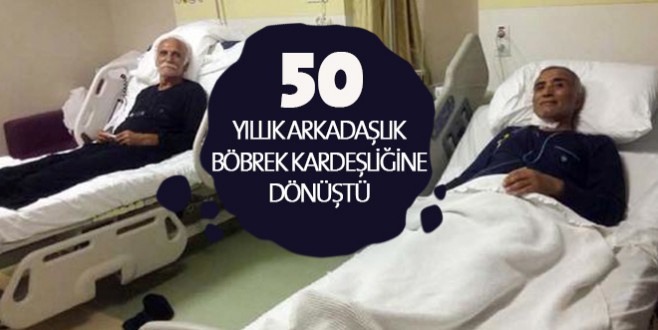 50 yıllık arkadaşlık böbrek kardeşliğine dönüştü