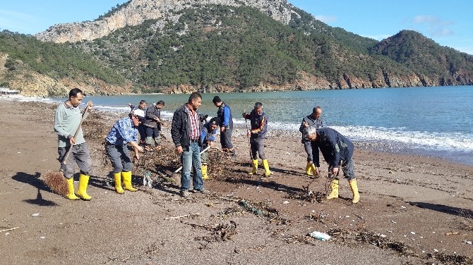 Adrasan sahili temizlendi 